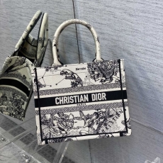 Christian Dior Shopping Bags